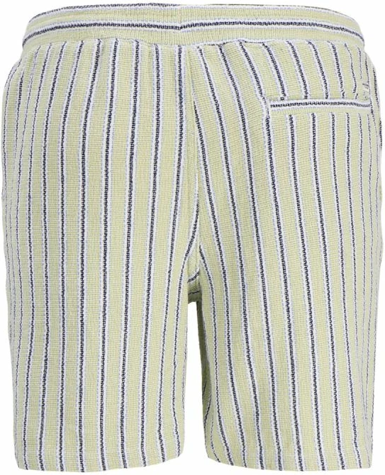 Shorce për meshkuj Jack&Jones JPSTJAIDEN COBA STRIPE JOG SHORTS REG SN, me vija [Madhësia: M]