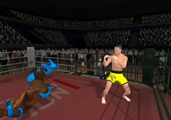 Wrestlers Without Boundaries EN/DE/PT/RU/ZH Global