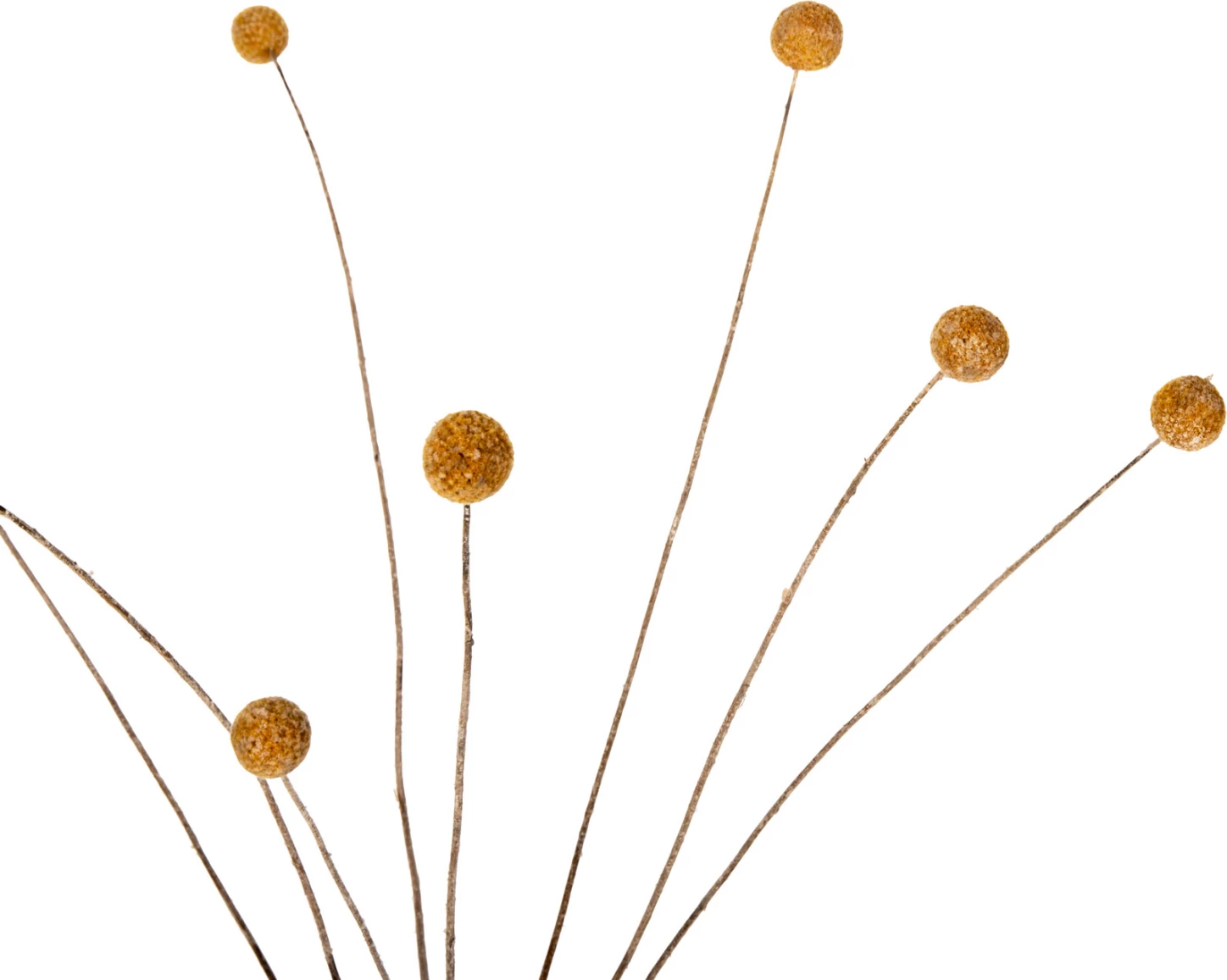 Buqetë dekorative e tharë Craspedia Globosa FH7956 e verdhë 63H cm