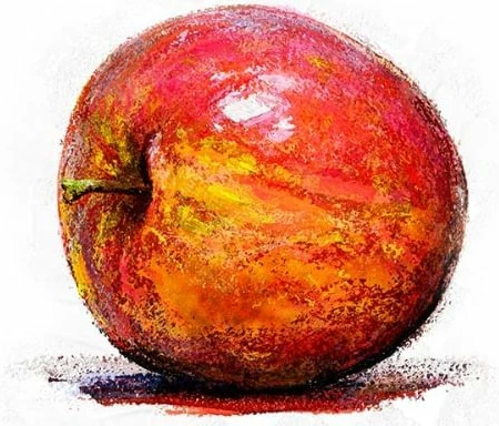 Corel Painter 2019 Lifetime EN Global