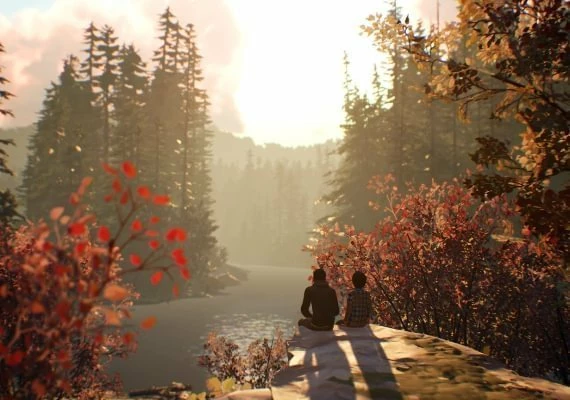 Life is Strange 2 - Episodes Bundle DLC Episodes 2-5 Bundle Edition Global