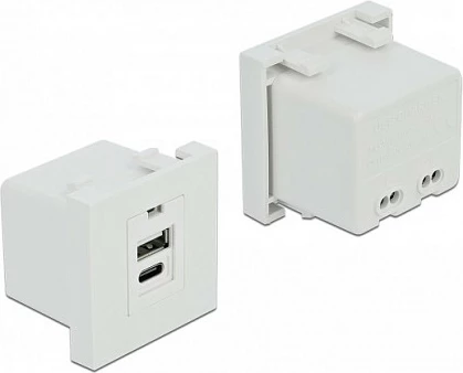 Modul karikimi USB DeLOCK Easy 45, 1x USB-A + 1x USB-C, 2.1A, i bardhë