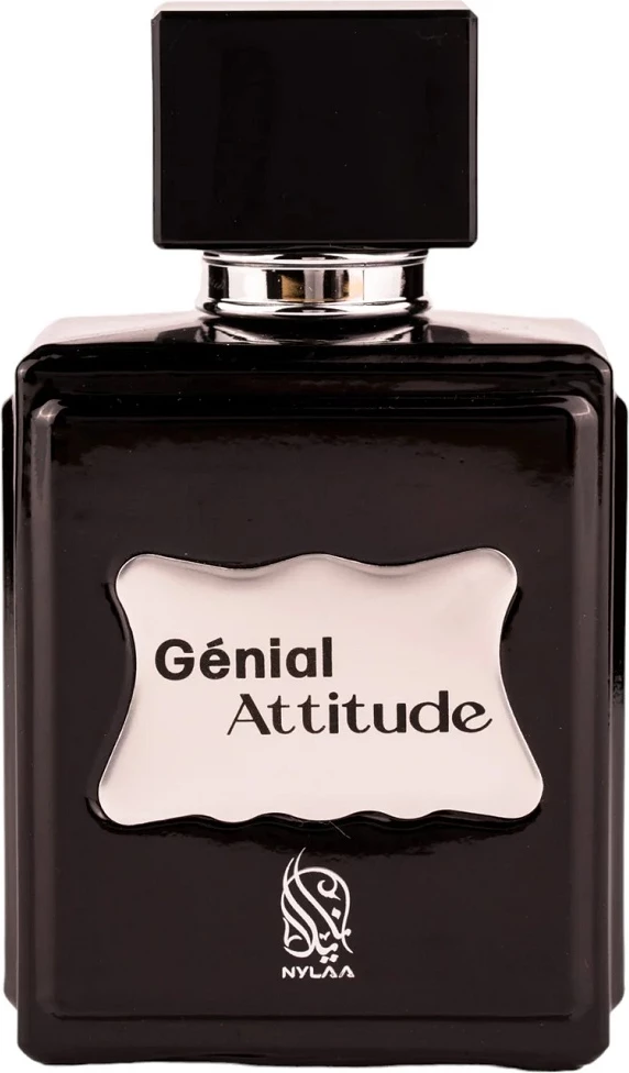 Eau de Parfum për meshkuj Nylaa Genial Attitude 100ml