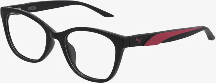Korniza optike Puma PJ0055O-001 47