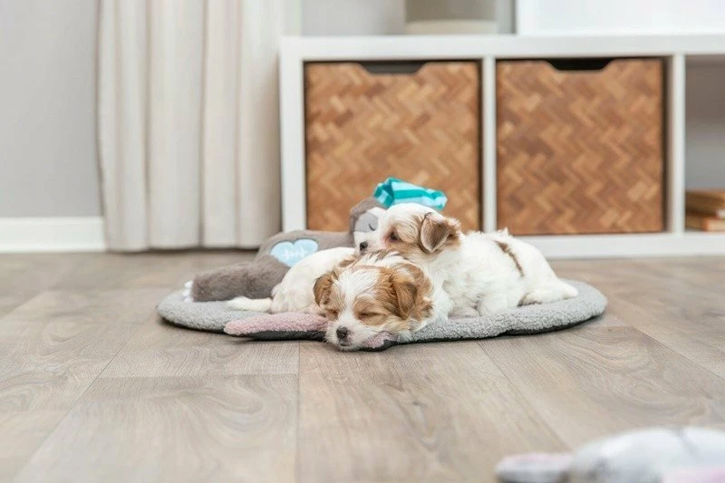 Lodër plush për qen Trixie TX-36166, përtac me rrahje zemre, 34 cm, bateri LR44, shumëngjyrëshe