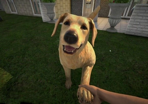Pets Hotel Global