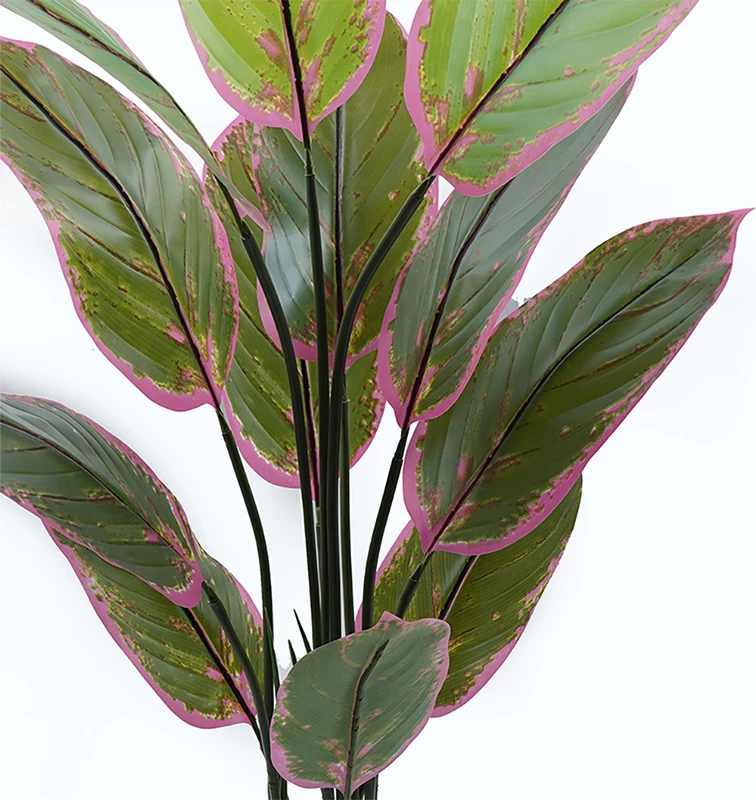 Bimë dekorative në vazo Calathea Inart, ngjyrë e gjelbër, 68x120cm