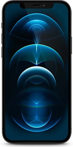 Xham i fortë mbrojtës Guess GUSPP12MSLTR për iPhone 12/12 Pro 6.1", Vintage Magic Logo, Transparent/zi