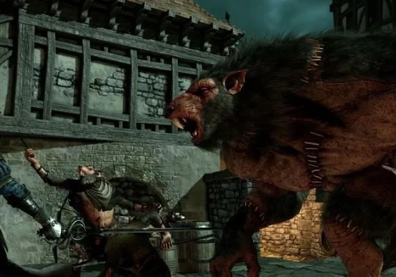 Warhammer: Vermintide 2 - Collector's Edition Upgrade DLC EN Global