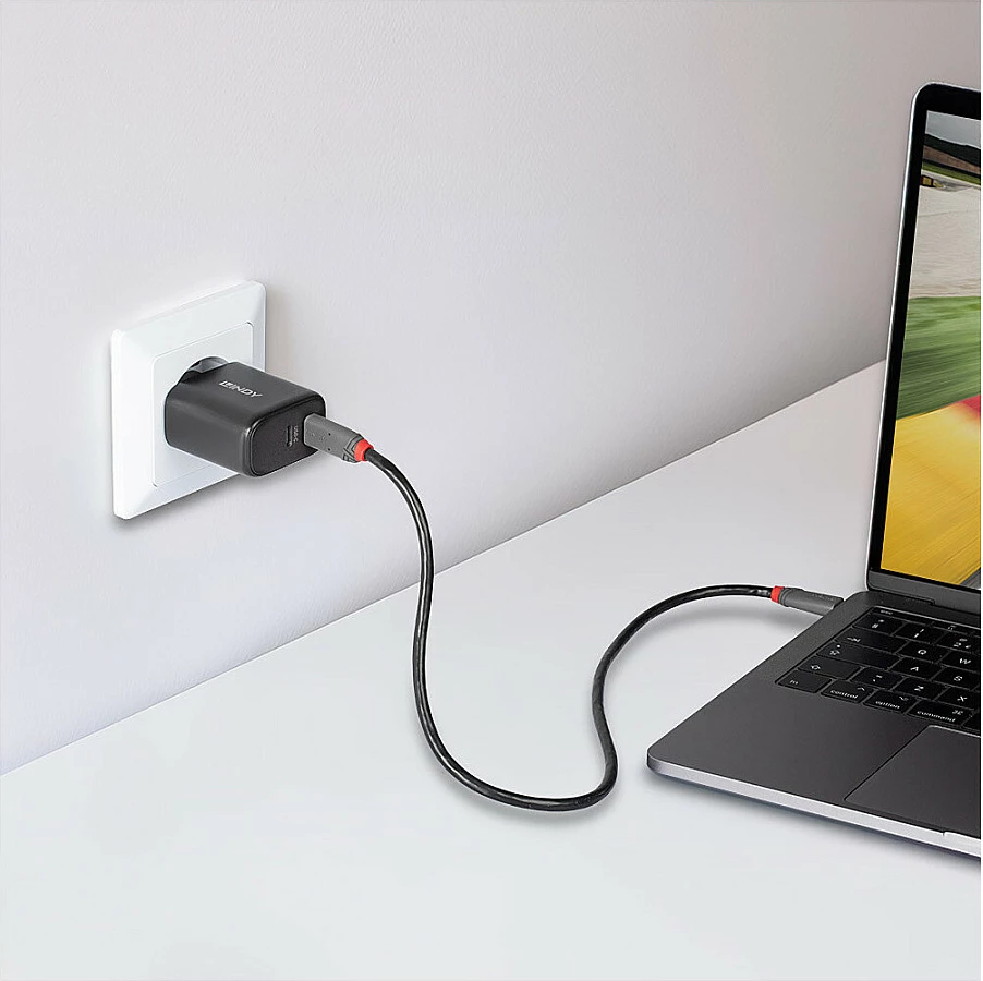 Karikues LINDY 65W GaN, 2x USB-C (PD 3.0/PPS), i zi