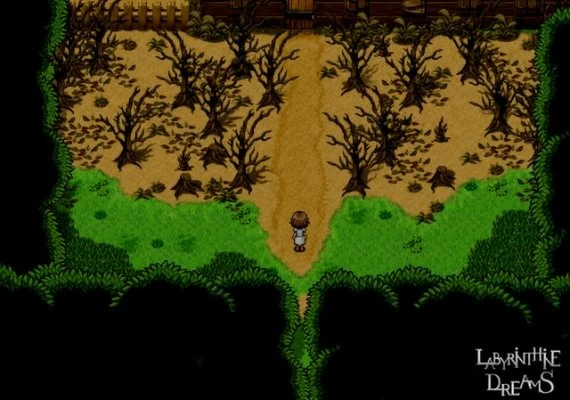 Labyrinthine Dreams EN Global