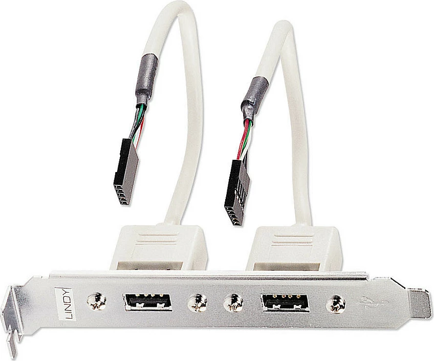 Adapter USB LINDY Slotblech, 2x USB Type-A, IDC 5-pin, 0.2m, argjendtë/bardhë
