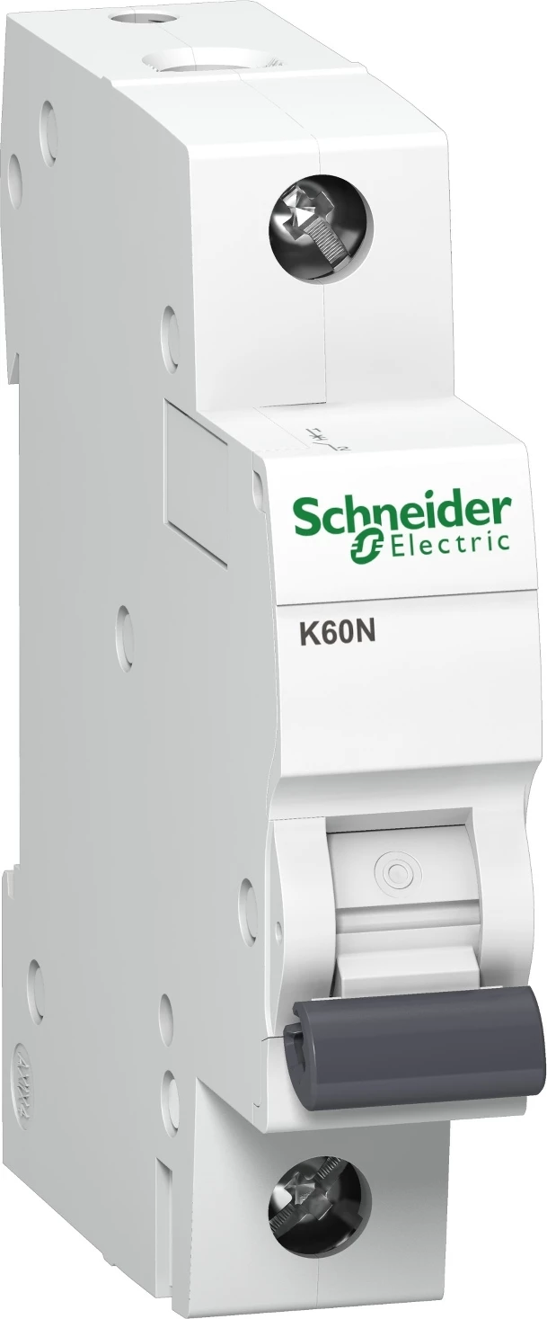 Siguresë Schneider Electric  A9K02140 1P 40A C