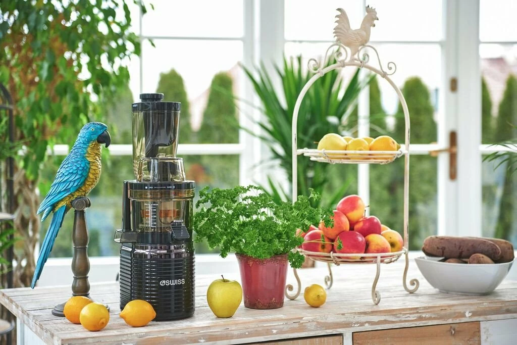 Shtrydhëse e ngadalshme 4Swiss BM202 200W, 0.5L, vertikale, EasyClean, XXL hapje, e zezë