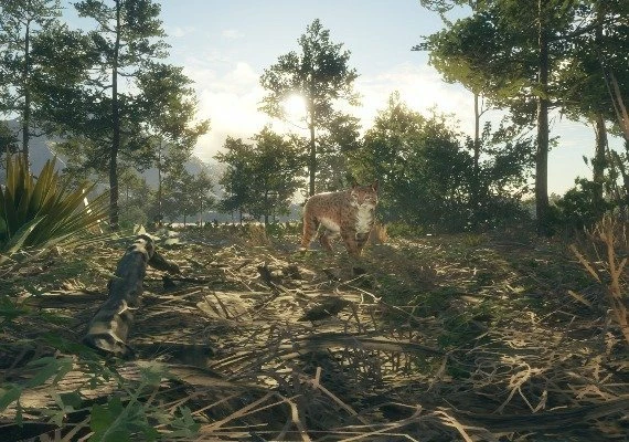 theHunter: Call of the Wild - Rancho del Arroyo DLC Global