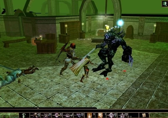 Neverwinter Nights: Infinite Dungeons DLC EN Global