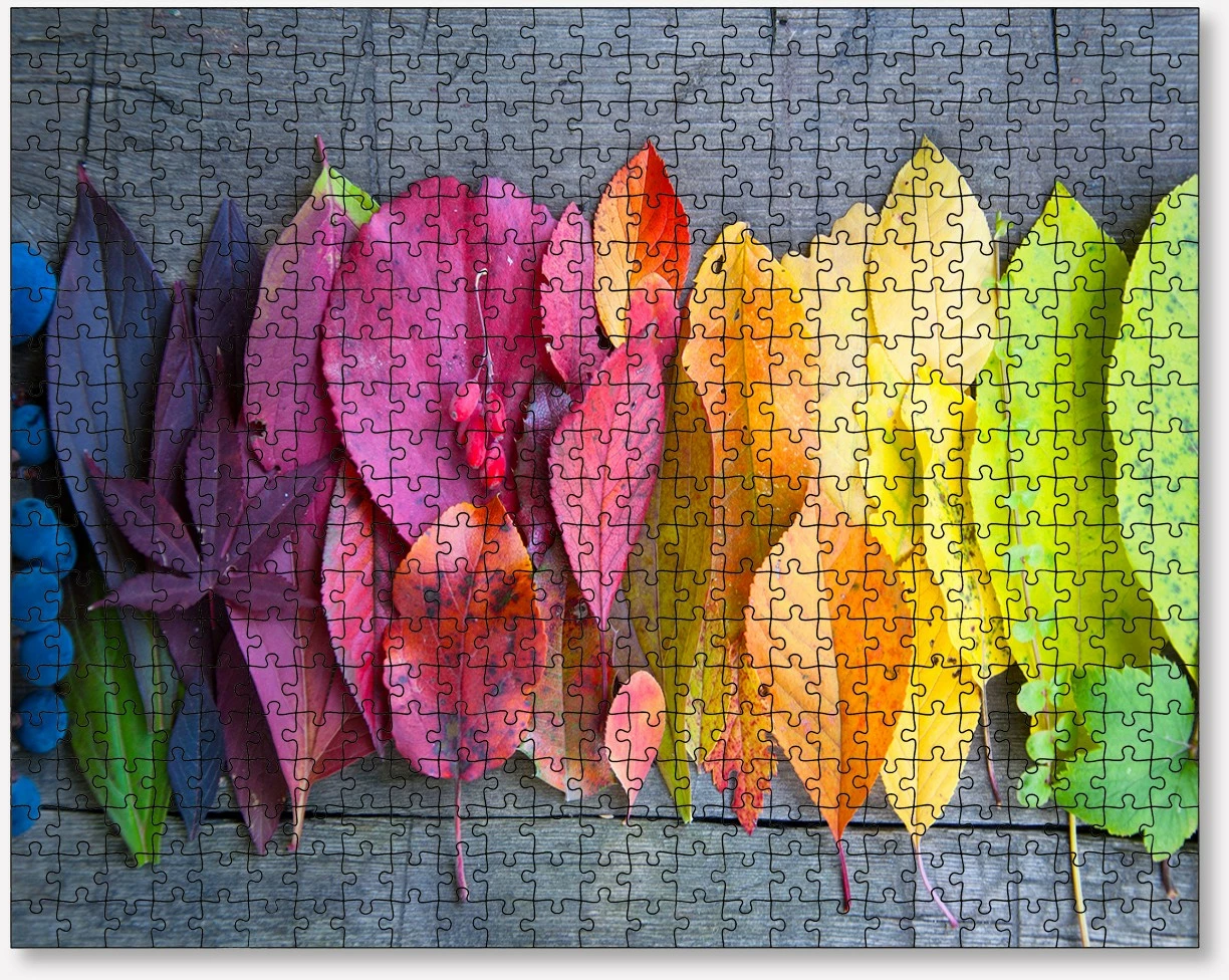 Puzzle me 1000 copa, Evila Originals, shumëngjyrësh, PZL_0186_1000