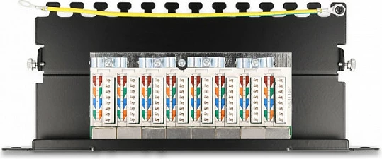 Patch panel DeLOCK 10" 8 porta Cat6A 1U, i zi