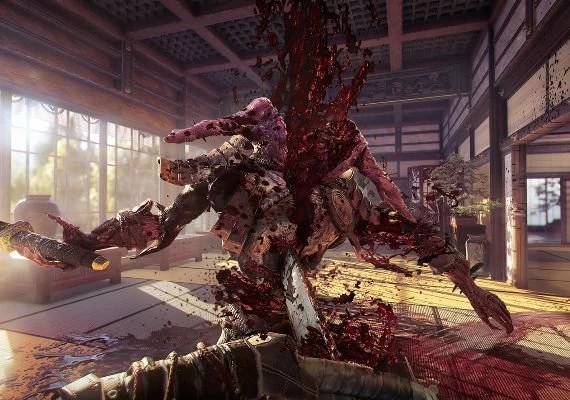 Shadow Warrior 2 EN/DE/FR/PL/PT/RU/ZH/ES Global