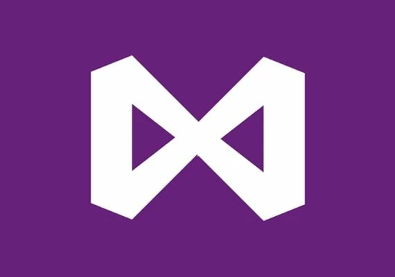 Visual Studio Professional 2019 EN Global