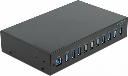 USB hub DeLOCK 10" Industry Hub, 10x USB 3.2 Gen1 Type-A, 5 Gbit/s, montim rack 10", i zi