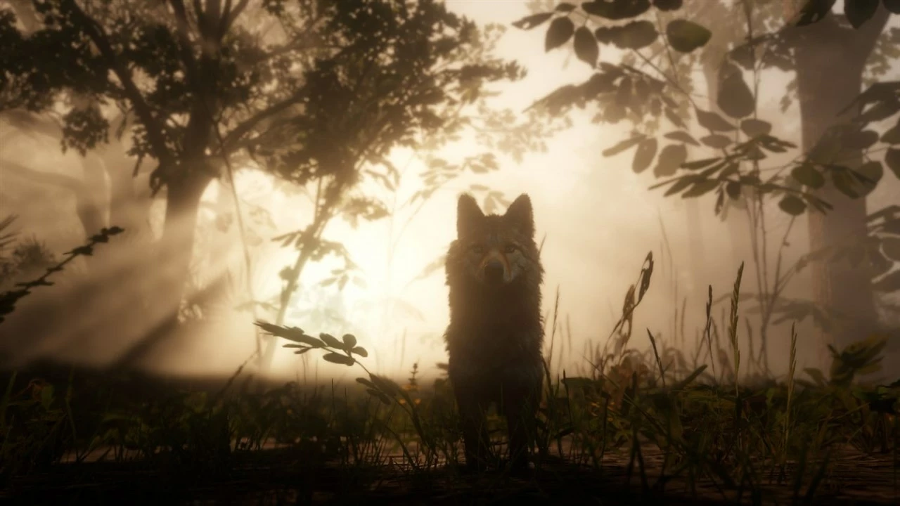 Lojë PS4 Rockstar Games Red Dead Redemption 2