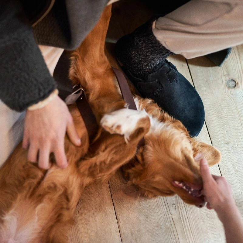 Clogs për femra Birkenstock, të zeza