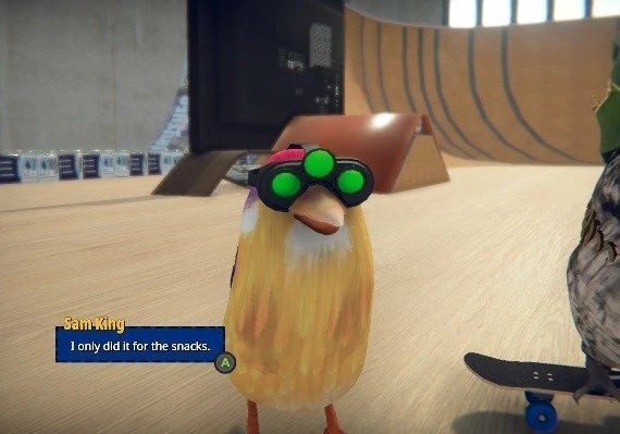SkateBIRD EN Global