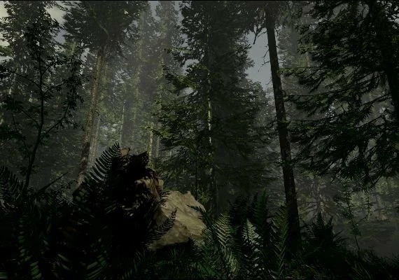 The Forest EN Global