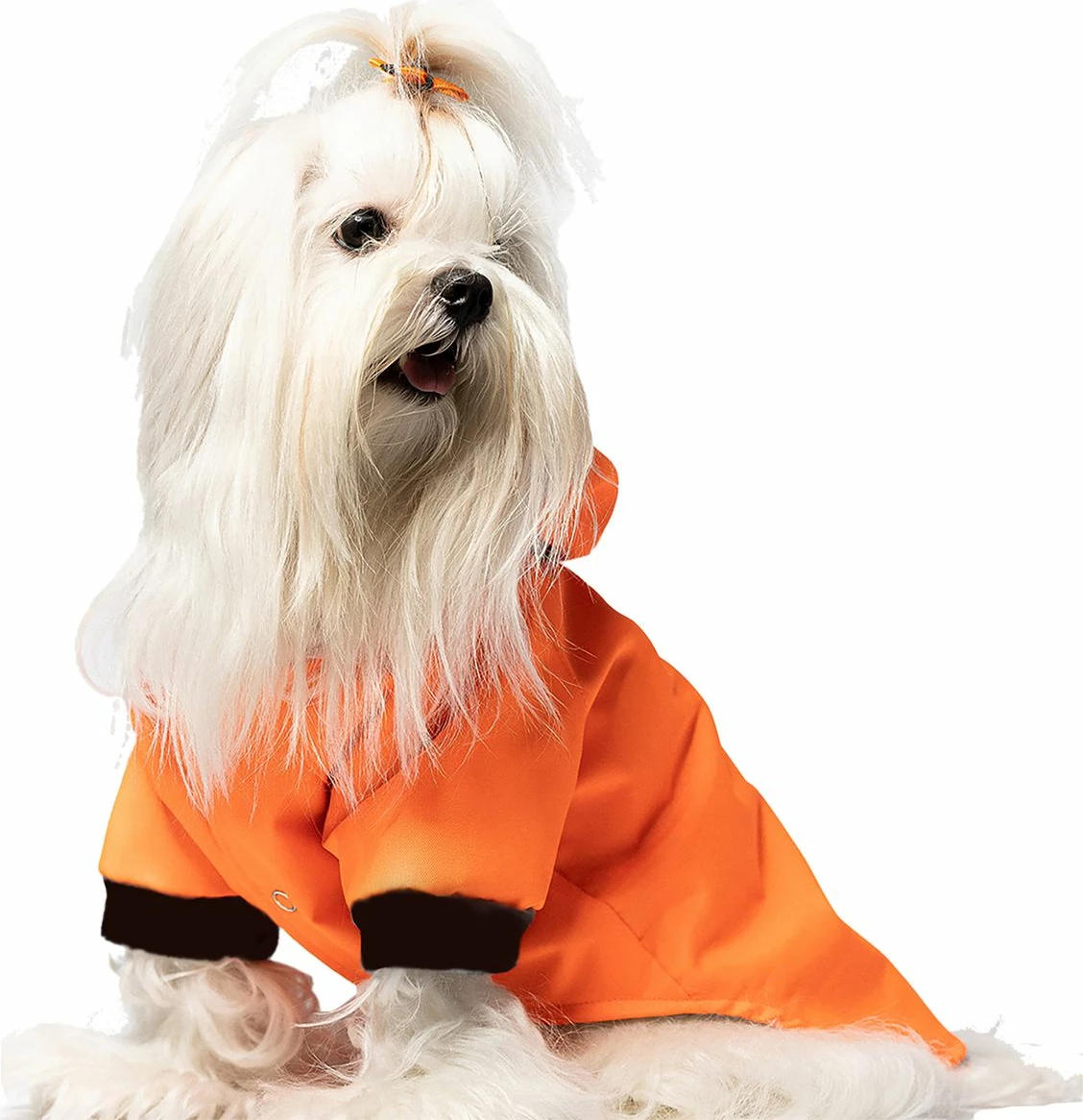 Hudi për qen, pallto shiu, portokalli, Paws & Whiskers, membranë, përmasa S