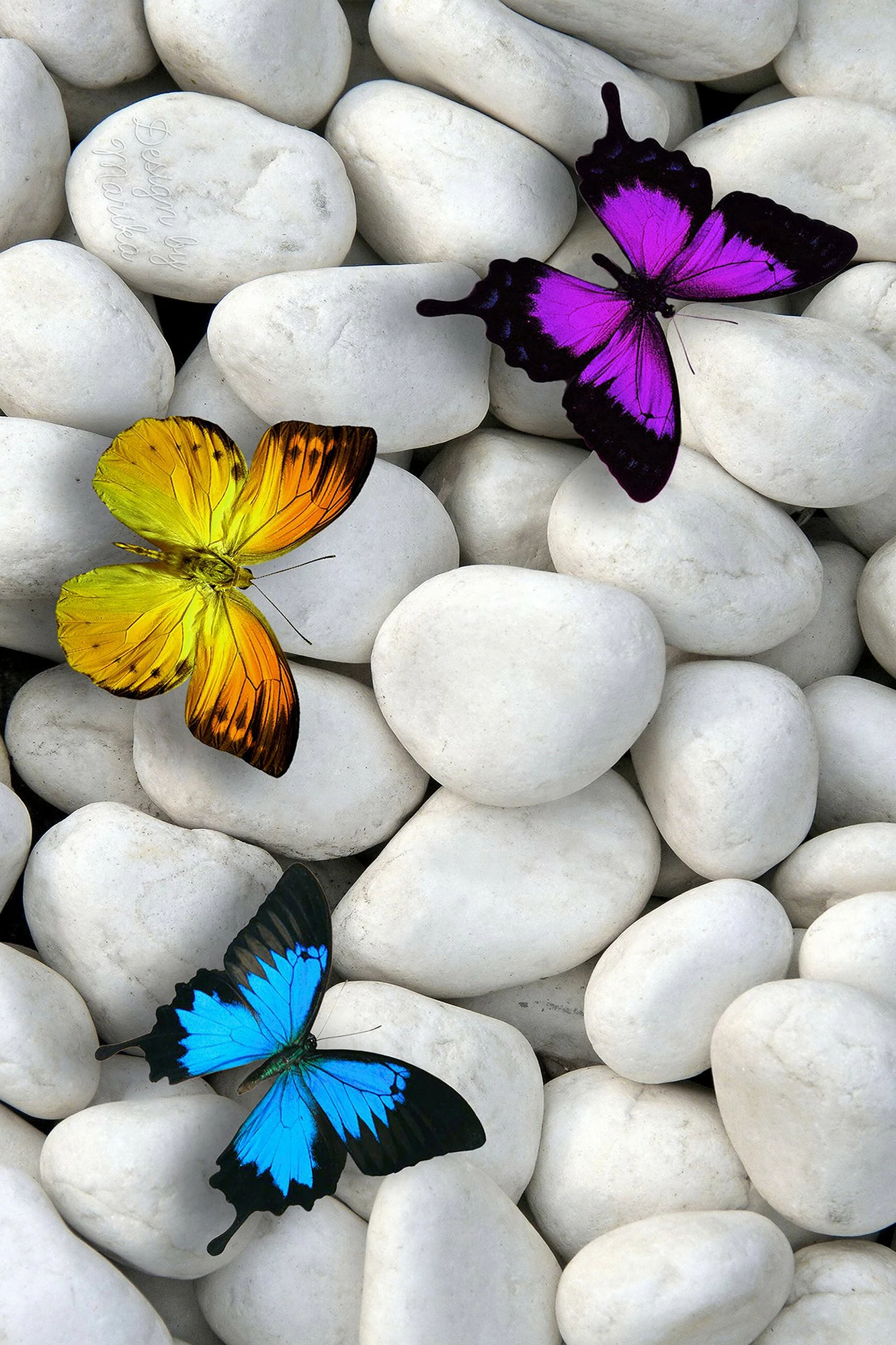 Qilim multikolor 120x180cm, Conceptum Hypnose, WOOKECE130