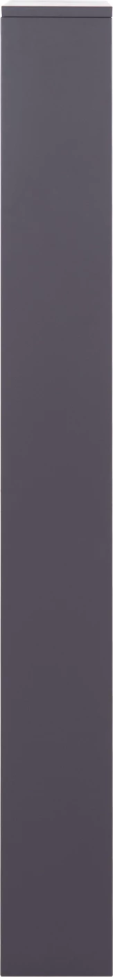 Dollap këpucësh metalik STARK, ngjyrë antracit, 4 dyer magnetike, FH6634.03, 71x15x137cm