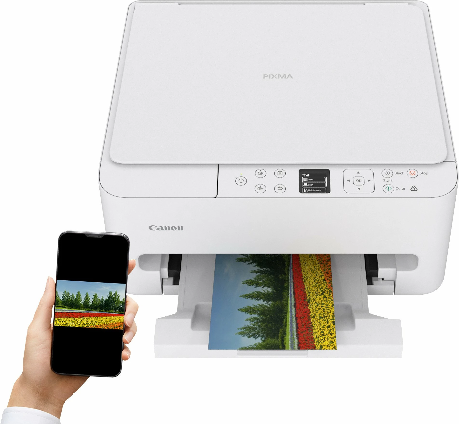 Pajisje multifunksionale inkjet Canon PIXMA TS6550i 7179C006, A4, Wi‑Fi, duplex, e bardhë