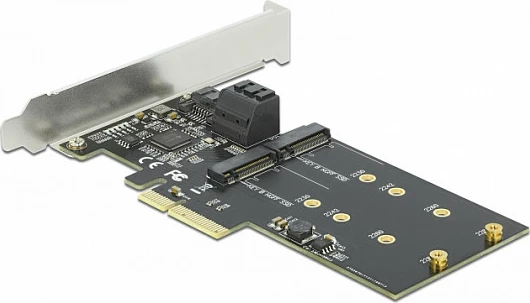 Kartë zgjerimi PCIe DeLOCK, 3x SATA III 6Gb/s + 2x M.2 Key B, low profile