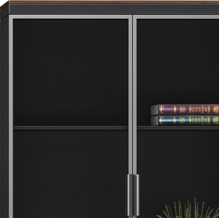 Raft librash Oscar me dyer xhami, ngjyrë arre-antracit, 80x40x200cm