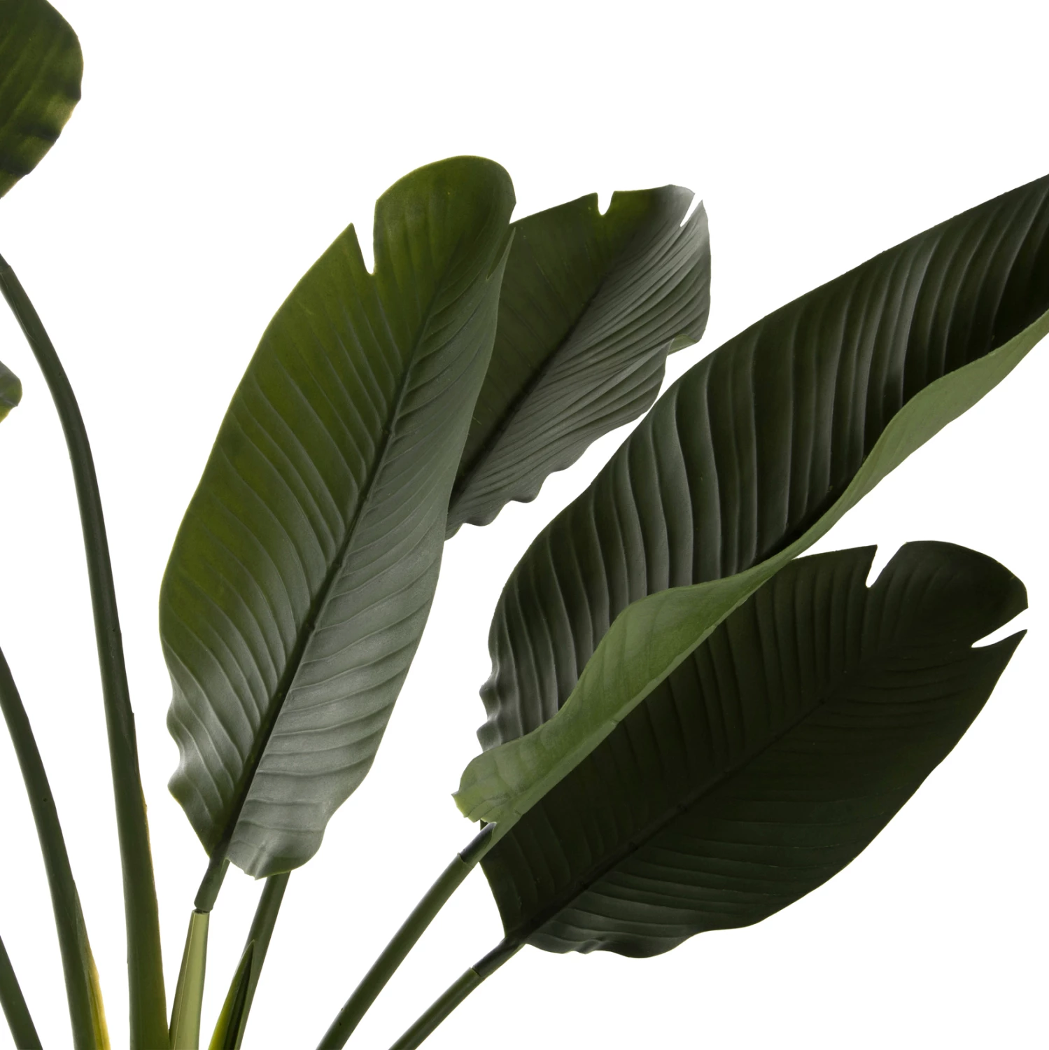 Bimë dekorative sintetike në vazo FH7982, Strelitziaceae, 150 cm, Φ17x14.5 cm