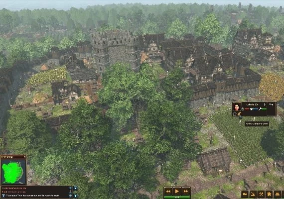 Life is Feudal: Forest Village Global