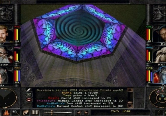 Wizardry 8 EN Global