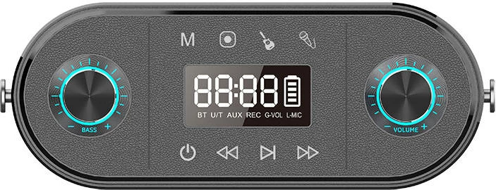Altoparlant portativ Bluetooth W-KING H10 S, 80W me mikrofon, i zi