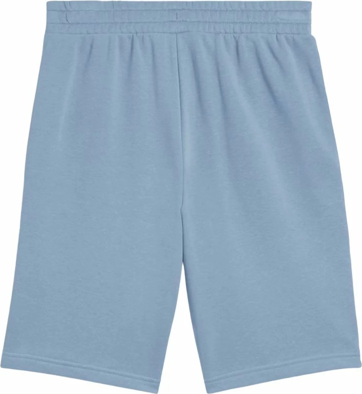 Shorce për meshkuj Puma, të kaltërta