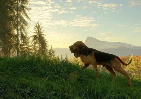 theHunter: Call of the Wild - Bloodhound DLC Global