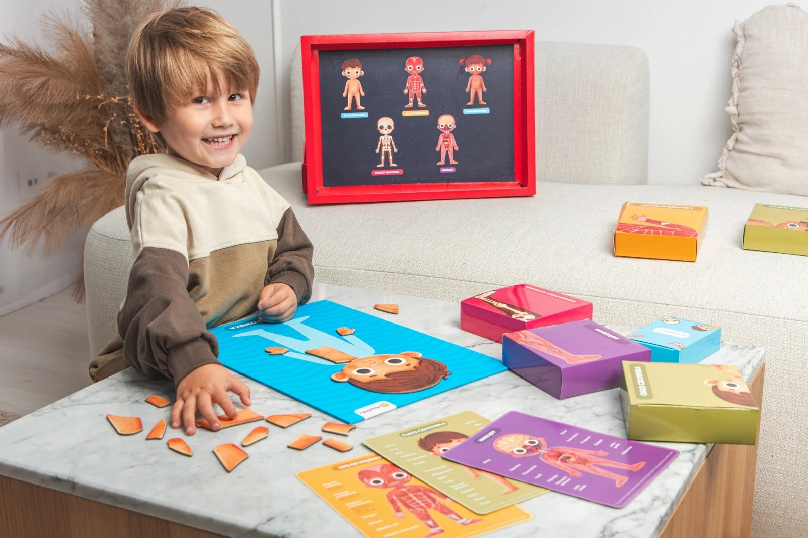 Set edukativ magnetik, PlayShifu, My Super Human Body 011-BLM0012, 90 pjesë, tabelë magnetike, moshat 5-12, set