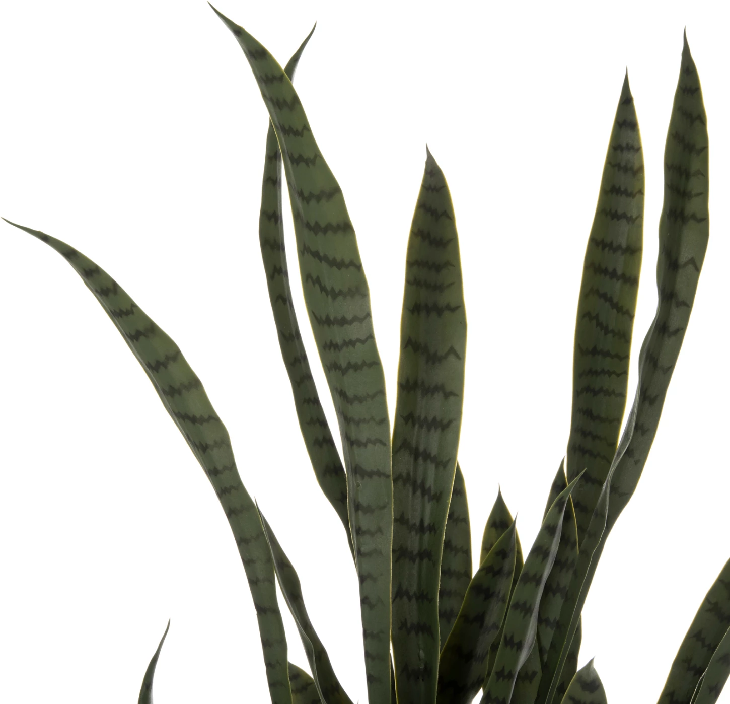 Bimë sintetike dekorative, SANSEVIERIA, ngjyrë e gjelbër, 150Hcm, FH7994.02