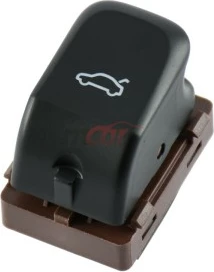 Pulle Nderperese E Bagazhit Audi