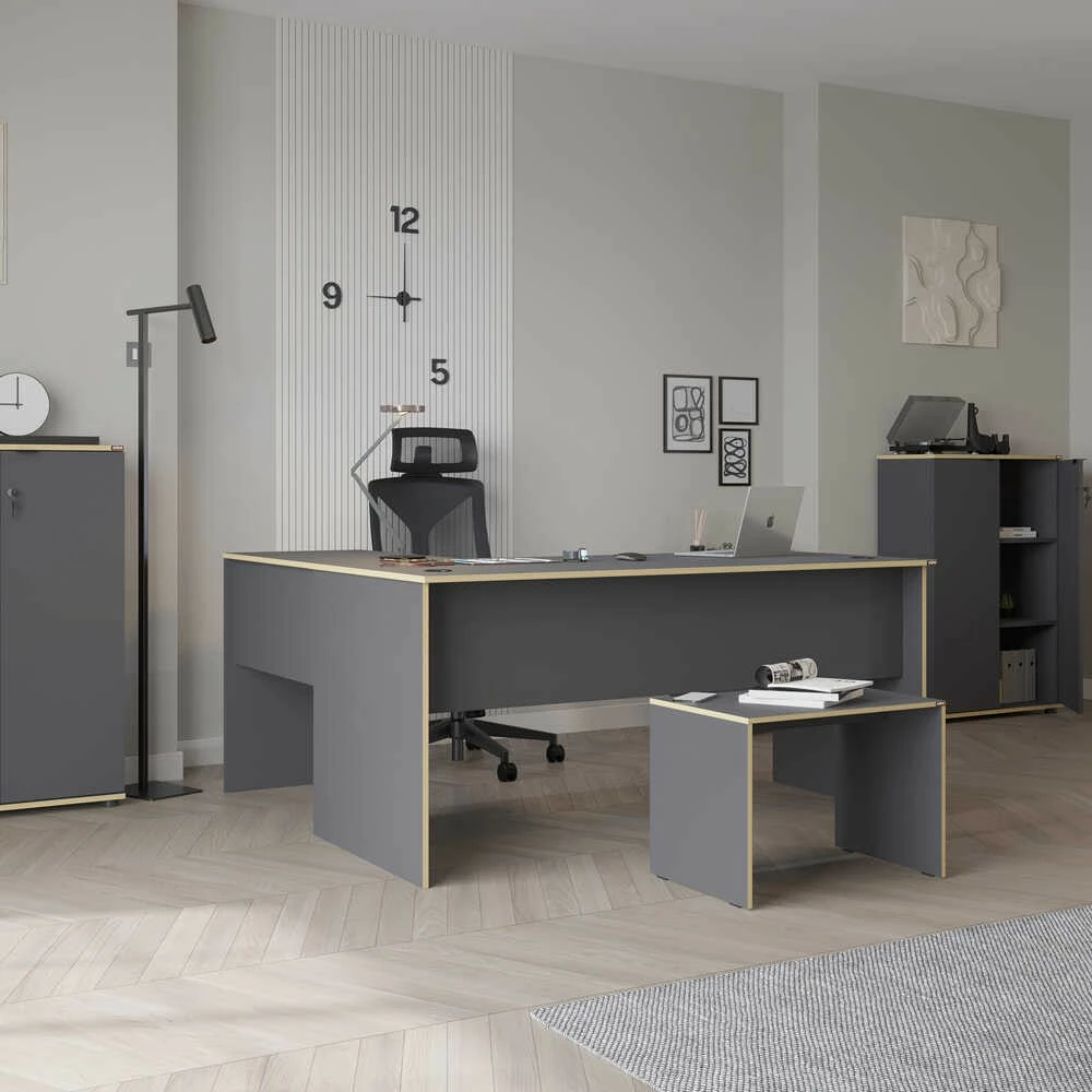 Tavolinë pune Hanah Home, Rms-320-Ax-1, anthracite dhe lis, 160x75x144cm