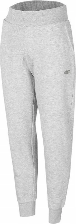 Pantallona tute 4F 4FWSS24TTROF606 XXL, 79% pambuk, me lidhëse, 2 xhepa, gri (27M)