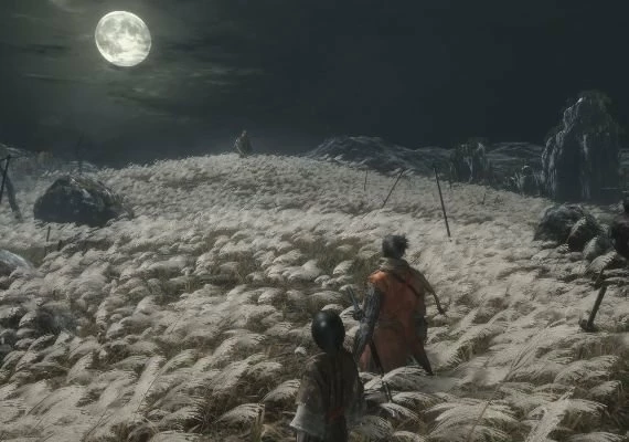 Sekiro: Shadows Die Twice GOTY Edition EN Global