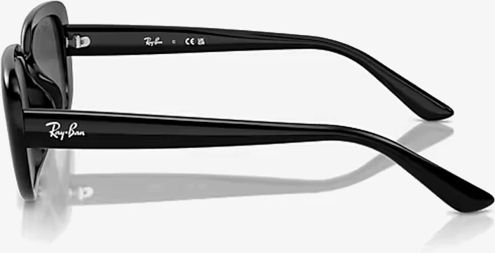 Syze dielli Ray-Ban RB4421D 667787 56