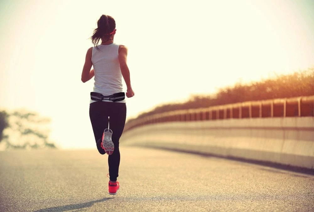 Rrip sportiv Fixed Sportbelt Duo, 2 xhepa me zinxhir, rregullim 68-160 cm, reflektues, i zi