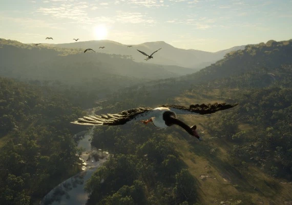 theHunter: Call of the Wild - Emerald Coast Australia DLC Global